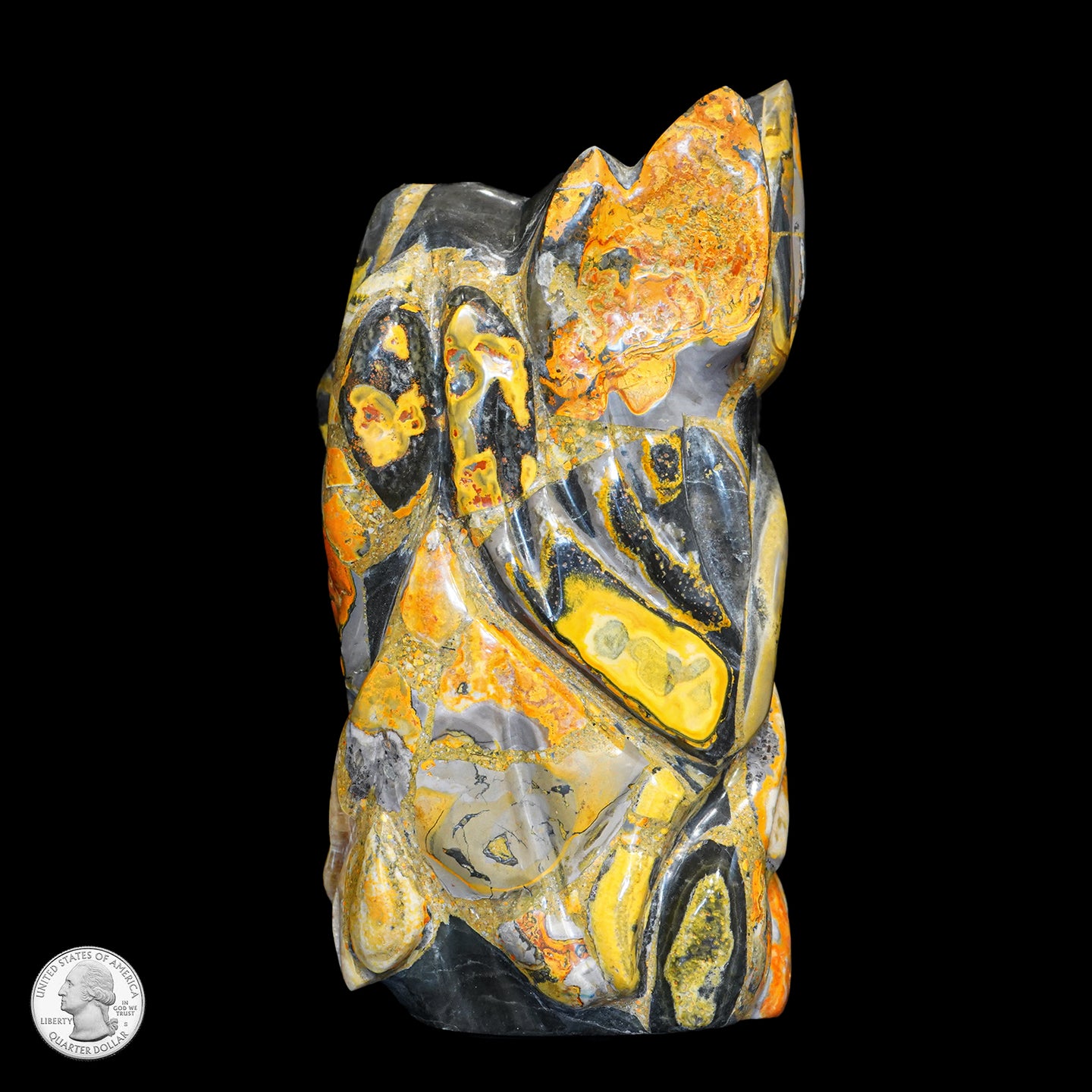 BUMBLEBEE JASPER