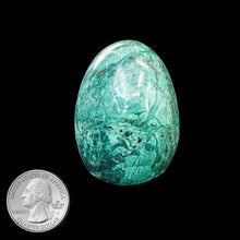 Load image into Gallery viewer, CHRYSOCOLLA EGG