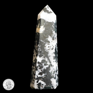 QUARTZ & BLACK TOURMALINE POINT