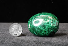 Load image into Gallery viewer, MALACHITE EGG