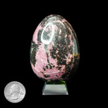 Load image into Gallery viewer, RHODONITE EGG